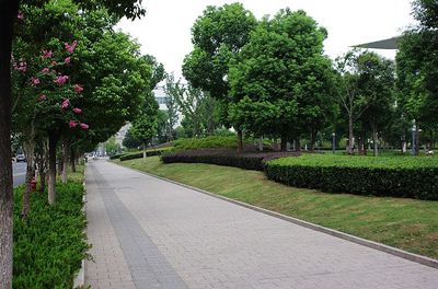 上海浦东假山石景*厂区绿化养护园林景观工程